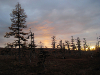 Суровый край