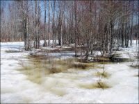 Весенний пейзаж