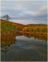 "...а осень-девчоночка рыжая..."