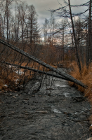 Печальных рек текучих стынут рукава...