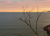 В японском стиле