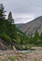 Сеймканский эскиз