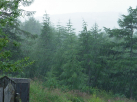 это просто дождь