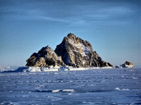 два с половиной брата