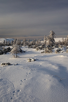 Зимняя сказка