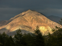На золотой теньке