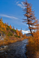 В вечном движеньи вперед