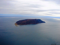 остаться в живых