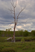 Ход времени не остановить...