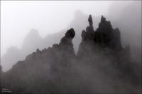 "Берег скелетов"