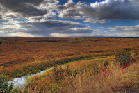 летний дождь в сентябре