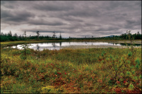 Оз. Пепельное