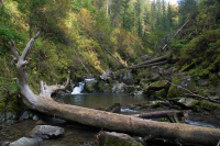 Каскады Третьей речки