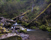 Каскады Третьей речки