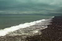 Иссиня-зеленое