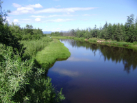 тихая речка