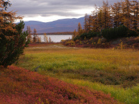 Краски осени