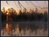 Холодный рассвет