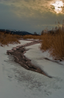 Темной нитью пролегал неровный след...