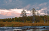 Срывает осень золотые покрова...