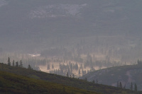 образование туманов...