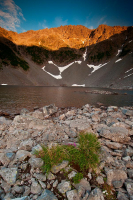 Намерение - жить!