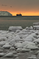 в нашу бухту заходили корабли