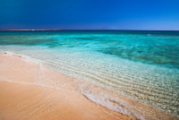 Новогоднее путешествие!!!