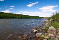 на берегу реки