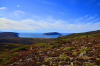 о.Недоразумения.