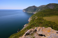 На батарее.