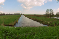 там где ты. только лето