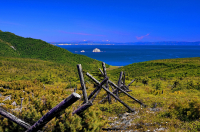 Недалекое прошлое.