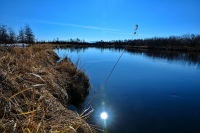 Утонувшее солнце.