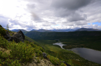 Д.Л.Протока вариантов.