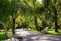 аллея в парке