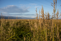 Неподалёку