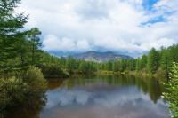 Лесное озеро