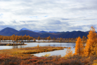 Рыжая осень