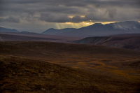Подорожная, Чукотка