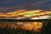 про белые ночи