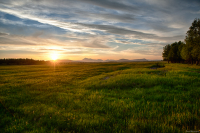 Предзакатное