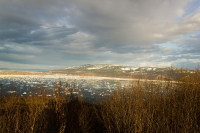 Лодки для горностайчиков