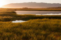 предзакатная магия