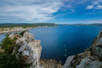 Бурундук мыса Островного