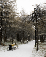 Первый снег