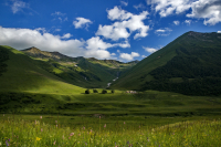 Альпийские луга Осетии
