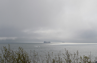 Бухта окутанная туманом