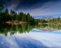 Утро на озере