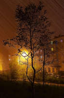 Вид из окна